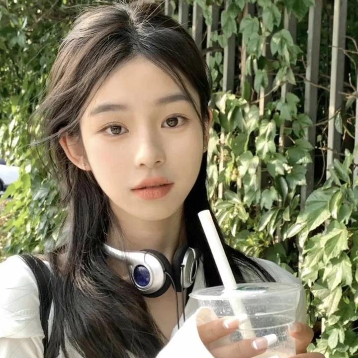 案中案